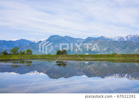 Paddy field, white car and Northern Alps [Azumino in early summer] 67012291