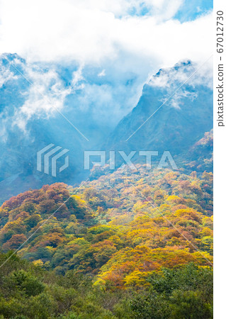 Autumn leaves on the north wall seen from Oyama Riverbed 67012730