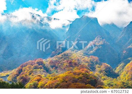 Autumn leaves on the north wall seen from Oyama Riverbed 67012732