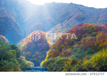從大山河床看到的北牆上的秋葉 67012737