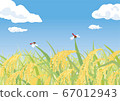 20_ four seasons _ September _ rice ear _ horizontal 67012943