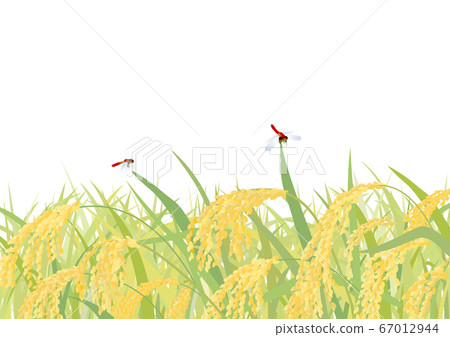 20_Four Seasons_September_Inaho_Horizontal_Background White 67012944