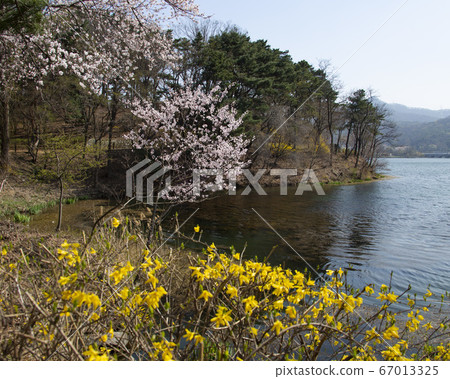 韓國京畿道果川市麥溪洞首爾大公園 67013325
