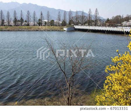 韓國京畿道果川市麥溪洞首爾大公園 韓國京畿道果川市麥溪洞首爾大公園 67013331