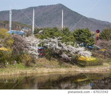 韓國京畿道果川市麥溪洞首爾大公園 67013342