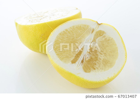 grapefruit grapefruit 67013407