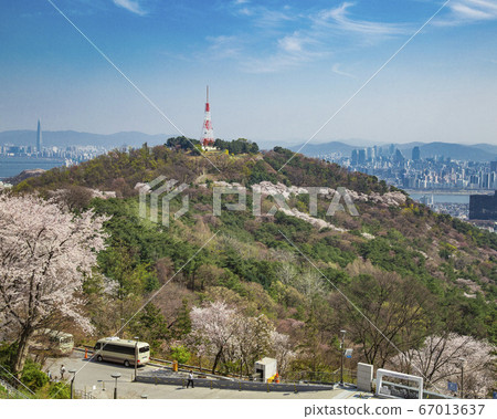 首爾特別市中區會賢洞南山春天 67013637