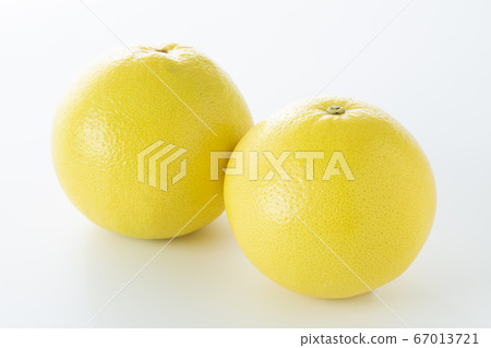 grapefruit grapefruit 67013721