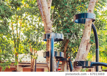Black steel column supports and controls the branches and trunks of the tree to stand upright and beautiful in the park. Black steel column supports and controls the branches and trunks of the tree to stand upright and beautiful in the park. 67013869