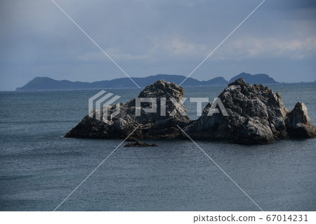 Sparrow flies off Nakabayashi, Nakabayashi-cho, Anan City, Tokushima 67014231