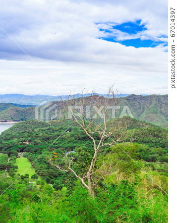Dry tree with a beautiful scenery views of nature with a large reservoir above the Srinagarind Dam at Rai Ya Yam viewpoint in Si Sawat District, Kanchanaburi Thailand. 67014397