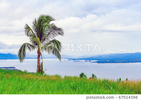 Coconut tree with a beautiful scenery views of nature with a large reservoir above the Srinagarind Dam in Si Sawat District, Kanchanaburi Thailand. Coconut tree with a beautiful scenery views of nature with a large reservoir above the Srinagarind Dam in Si Sawat District, Kanchanaburi Thailand. 67014398