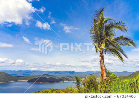 Coconut tree with a beautiful scenery views of nature with a large reservoir above the Srinagarind Dam in Si Sawat District, Kanchanaburi Thailand. 67014406