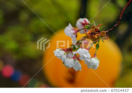 Songgwangsa, Songgwang-myeon, Suncheon-si, Jeollanam-do, Korea Songgwangsa, Songgwang-myeon, Suncheon-si, Jeollanam-do, Korea 67014437
