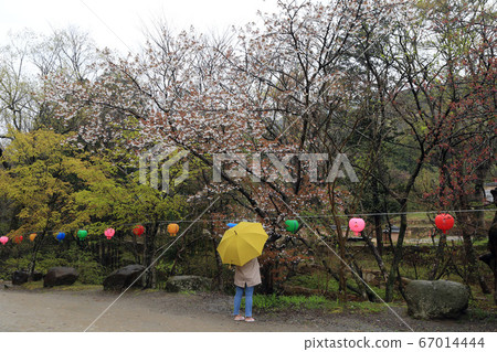 韓國全羅南道順天市松光面松光寺 韓國全羅南道順天市松光面松光寺 67014444