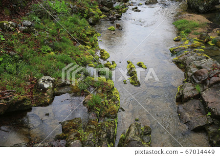 韓國全羅南道順天市松光面松光寺 67014449