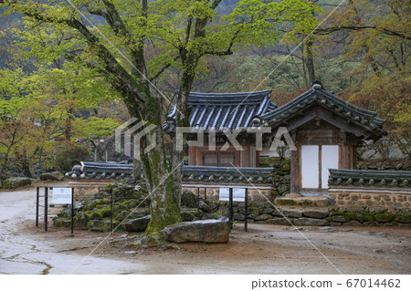 韓國全羅南道順天市松光面松光寺 韓國全羅南道順天市松光面松光寺 67014462