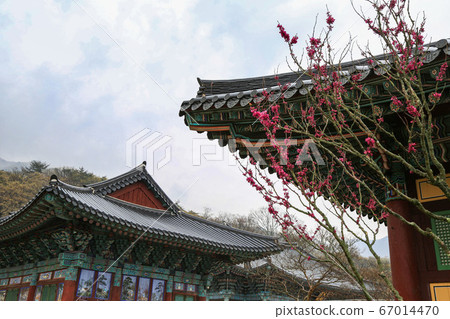 韓國全羅南道順天市松光面松光寺 韓國全羅南道順天市松光面松光寺 67014470