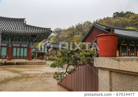 韓國全羅南道順天市松光面松光寺 韓國全羅南道順天市松光面松光寺 67014477