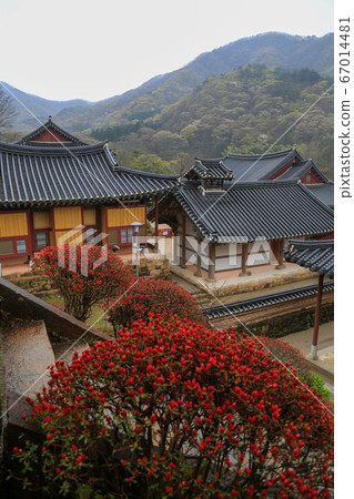 Songgwangsa, Songgwang-myeon, Suncheon-si, Jeollanam-do, Korea Songgwangsa, Songgwang-myeon, Suncheon-si, Jeollanam-do, Korea 67014481