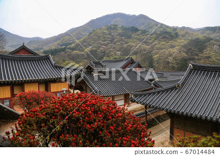 Songgwangsa, Songgwang-myeon, Suncheon-si, Jeollanam-do, Korea Songgwangsa, Songgwang-myeon, Suncheon-si, Jeollanam-do, Korea 67014484
