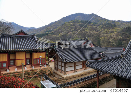 韓國全羅南道順天市松光面松光寺 韓國全羅南道順天市松光面松光寺 67014497