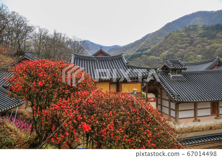 韓國全羅南道順天市松光面松光寺 韓國全羅南道順天市松光面松光寺 67014498