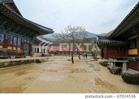 Songgwangsa, Songgwang-myeon, Suncheon-si, Jeollanam-do, Korea Songgwangsa, Songgwang-myeon, Suncheon-si, Jeollanam-do, Korea 67014536