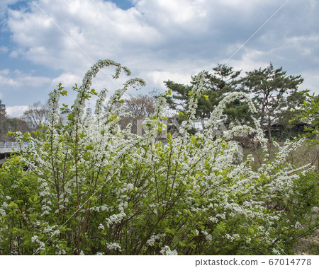 首爾特別市松坡區萬宜洞奧林匹克公園 67014778