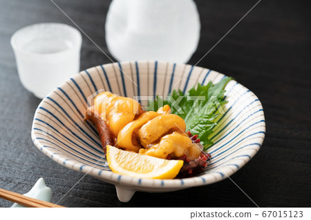 Hoya sashimi 67015123