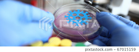 Male chemist hand in blue protective gloves hold petri dish closeup Male chemist hand in blue protective gloves hold petri dish closeup 67015159