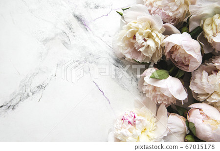 Peony flowers on a marble background Peony flowers on a marble background 67015178