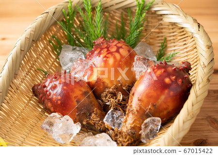 Sanriku squirts Sanriku squirts 67015422