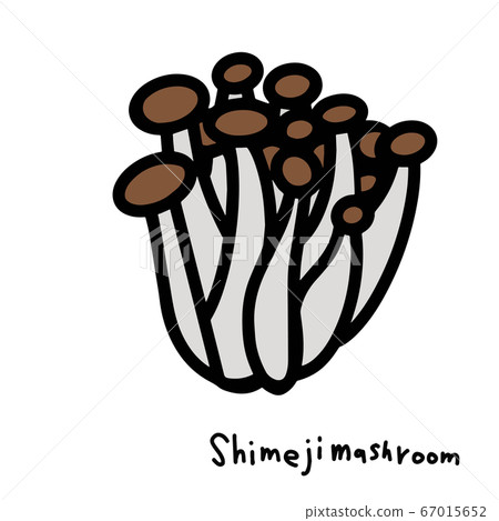 Shimeji handwriting style vector illustration Shimeji handwriting style vector illustration 67015652