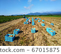 北海道馬鈴薯豐收景象 北海道馬鈴薯豐收景象 67015875