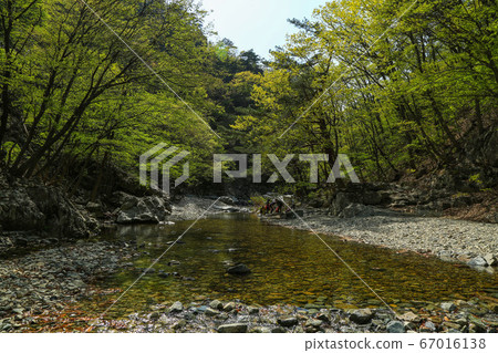 Korea Gyeongbuk, Pohang City, Buk-gu, Song Ramyeon Naeyeonsan Bogyeongsa Korea Gyeongbuk, Pohang City, Buk-gu, Song Ramyeon Naeyeonsan Bogyeongsa 67016138