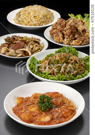 Chinese cuisine Chinese cuisine 67016526