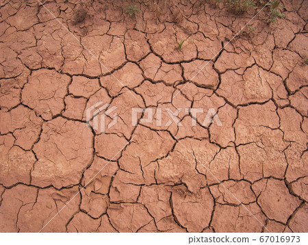 The cracks and crevices in the dried-out earth The cracks and crevices in the dried-out earth 67016973