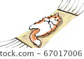 Norwegian Forest Cat taking a nap in a hammock 67017006