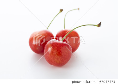 Cherry Sato Nishiki Cherry Sato Nishiki 67017173
