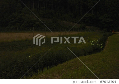 Genji firefly Genji firefly 67018104