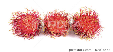 rambutan sweet fruit isolated on white background rambutan sweet fruit isolated on white background 67018562