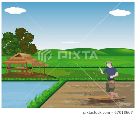 farmer manure rice plant vector design - Stock Illustration [67018667 ...