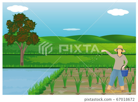 farmer manure rice plant vector design 67018672