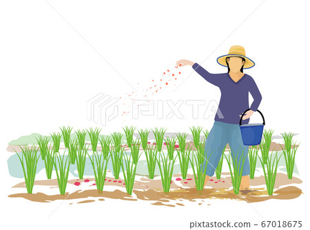 farmer manure rice plant vector design - Stock Illustration [67018675 ...