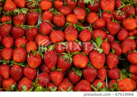 Fresh organic berries are forming a texture Fresh organic berries are forming a texture 67019066
