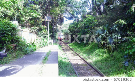 Train in the forest (Choshi Electric Railway) Train in the forest (Choshi Electric Railway) 67019363