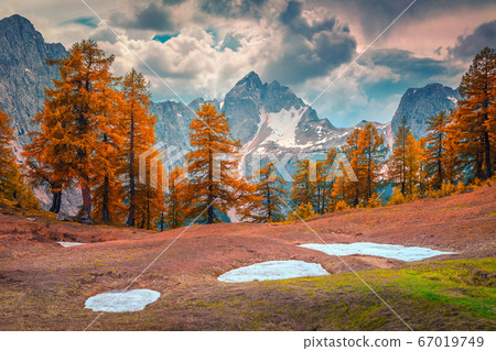 Wonderful autumn landscape with orange larches in Julian Alps, Slovenia 67019749