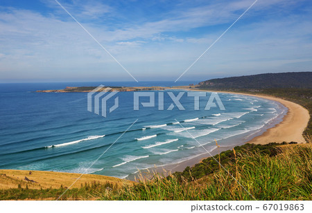 New Zealand coast 67019863