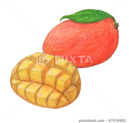 芒果手繪 67019983
